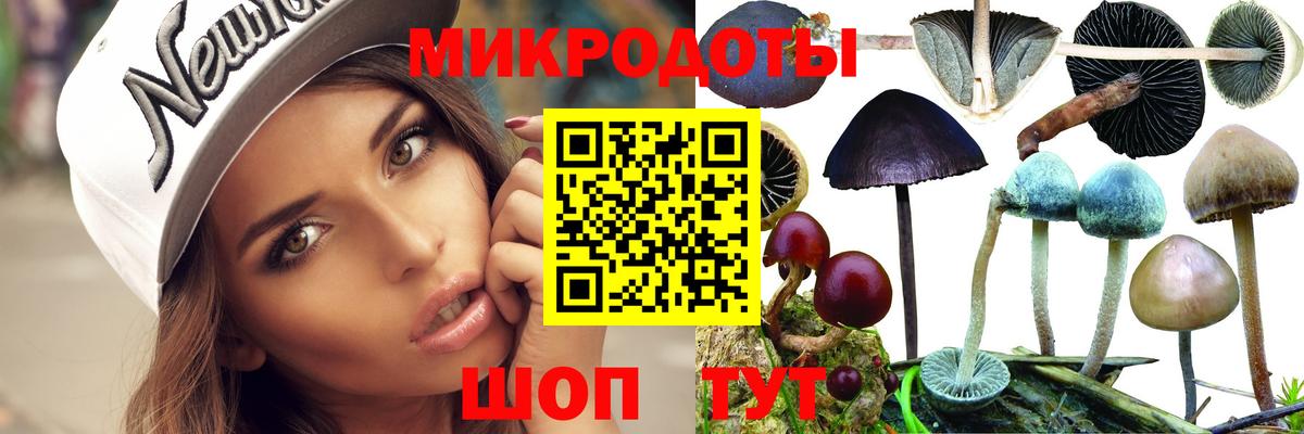 Галлюциногенные грибы Cubensis Можга