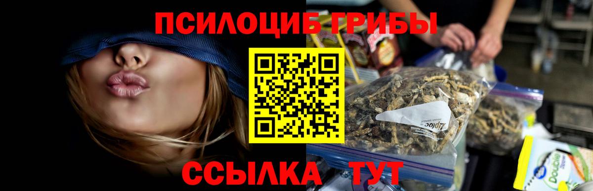Псилоцибиновые грибы прущие грибы  Вход с VPN  сколько стоит  Можга 